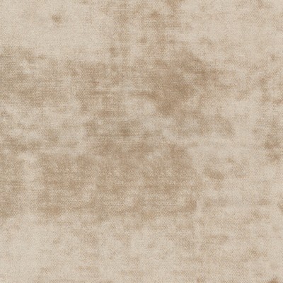 Silver State Cloud Nine Oyster